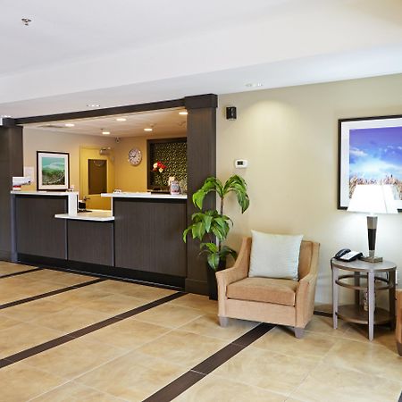 Candlewood Suites San Antonio Airport By Ihg Eksteriør bilde