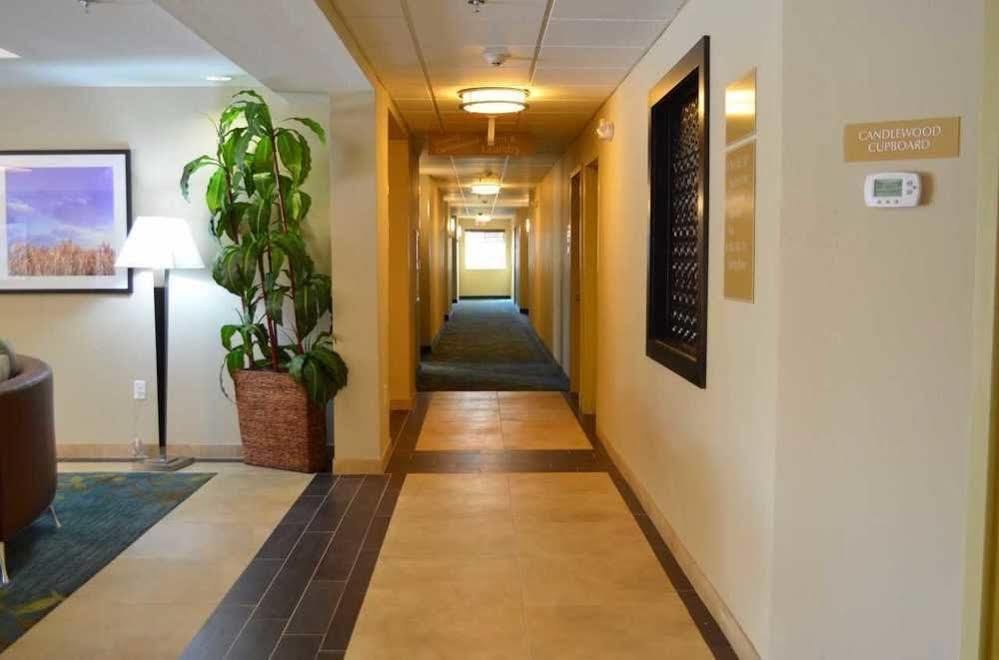 Candlewood Suites San Antonio Airport By Ihg Eksteriør bilde
